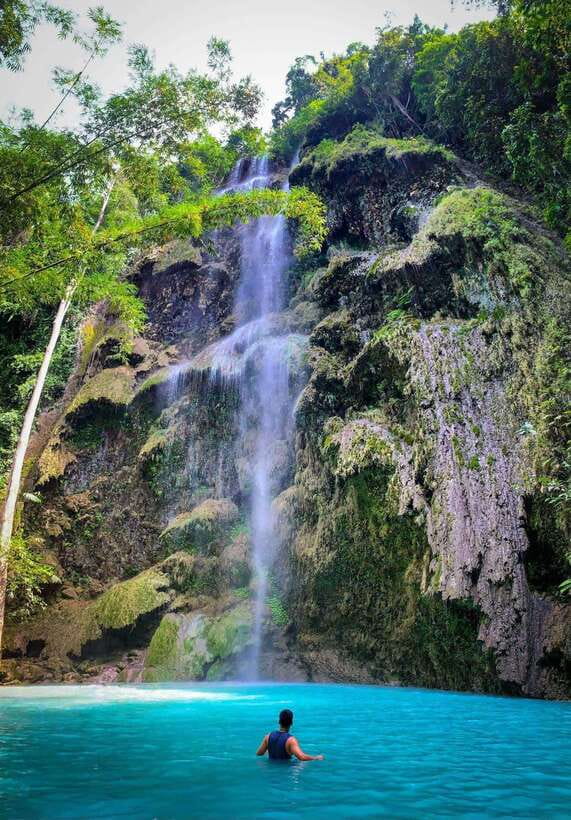 Oslob: Whale Sharks, Tumalog Falls, & Monkey Sanctuary Tour - Key points to know before booking