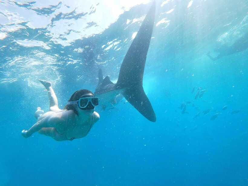 Oslob: Whale Sharks, Tumalog Falls & Sumilon Trio Adventure - Small details that make the day easier
