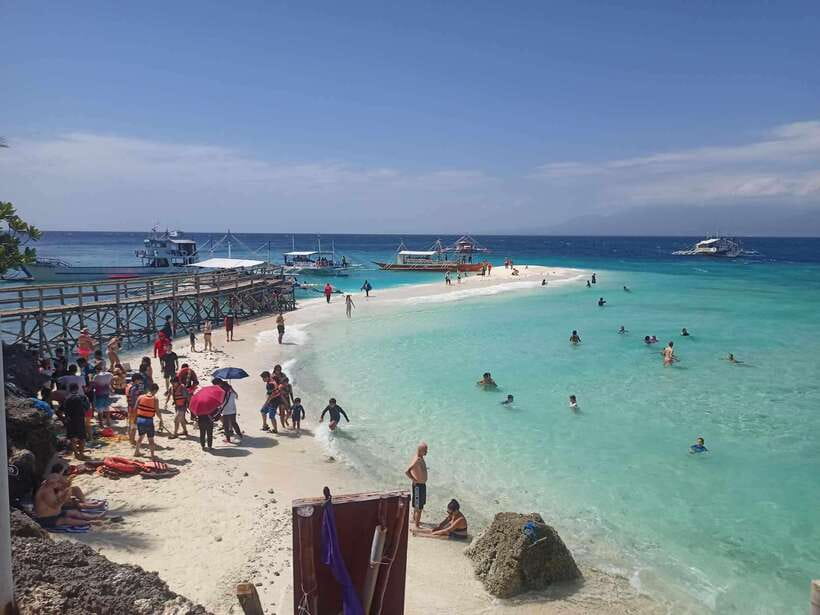 Oslob: Whale Sharks, Tumalog Falls & Sumilon Trio Adventure - Three Cebu highlights packed into one long day