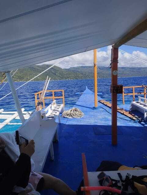 Oslob: Whale Sharks, Tumalog Falls & Sumilon Trio Adventure - Who will enjoy this day most