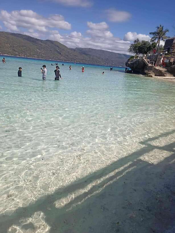 Oslob: Whale Sharks, Tumalog Falls & Sumilon Trio Adventure - Swimming with the whale sharks