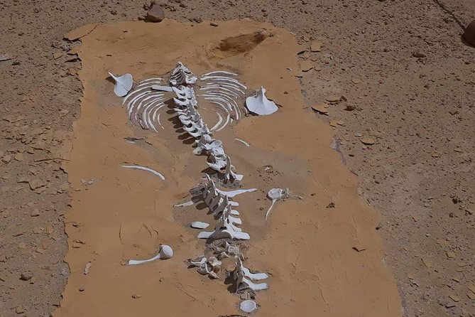over day safari trip to whales valley fayoum oasis - The 7:00 am departure from Downtown Cairo