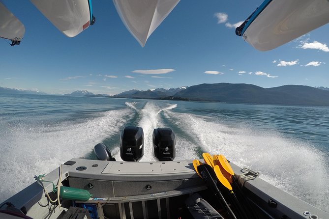 Paddle with Whales Kayak Adventure Juneau - Paddling in a humpback feeding ground