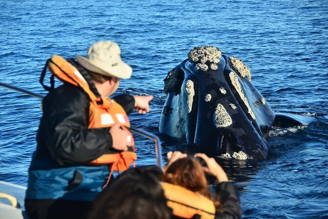 Peninsula Valdes Tour with Optional Whale Watching - Starting at the Carlos Ameghino Isthmus Visitor Center