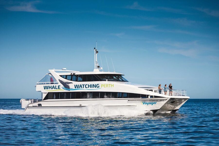 Perth: Whale Watching Cruise from Hillarys Boat Harbour - Booking details that matter
