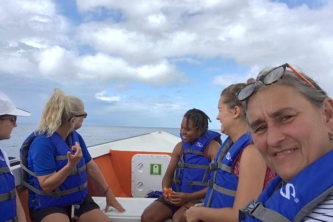 PH Whale Watch & Dolphin Cruise in Dominica - Meeting at Roseau’s Ferry Terminal