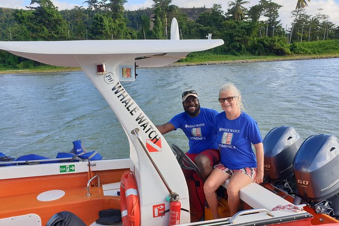 PH Whale Watch & Dolphin Cruise in Dominica - The Hydrophone and the Guide’s Explanations