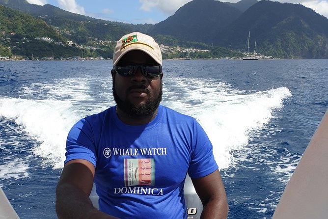 PH Whale Watch & Dolphin Cruise in Dominica - What $96 Buys You