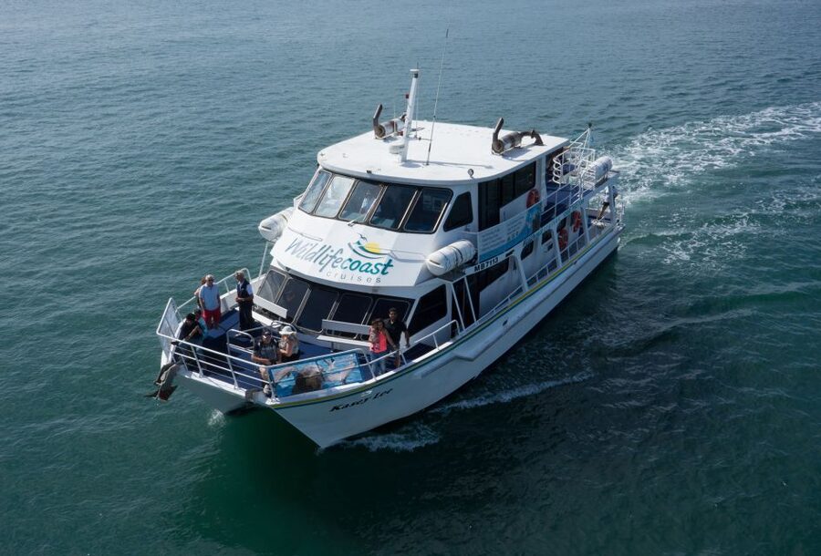 Philip Island: Dolphin and Whale Cruise - What the crew adds to the experience