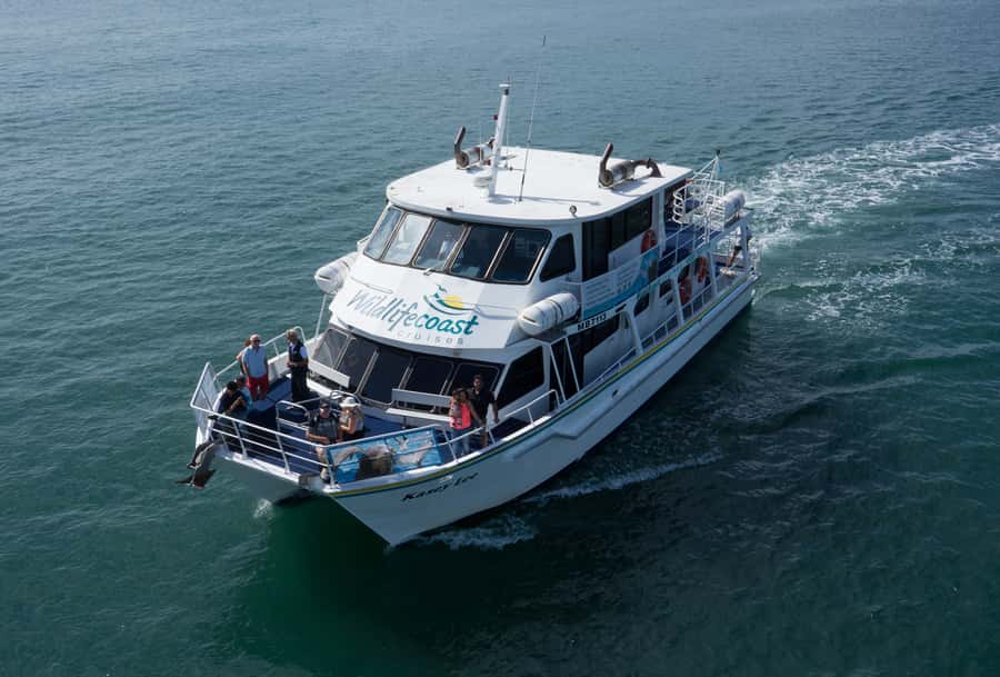Philip Island: Dolphin and Whale Cruise - The practical reality of three hours at sea