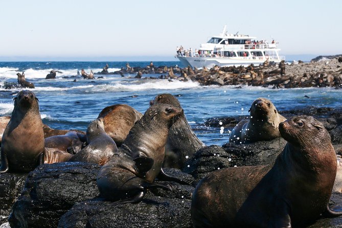 Phillip Island Whale Watching Tour - Is $125.52 per person good value?