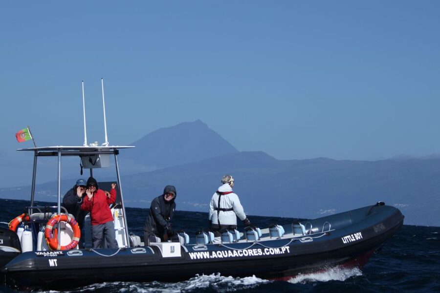 Pico Island: Azores Whale & Dolphin Watching on Zodiac Boat - Setting out from Lajes do Pico