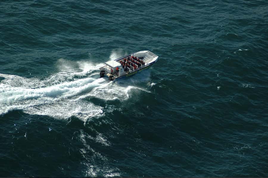 Plettenberg Bay: Whale Watching Boat Cruise - Key points at a glance