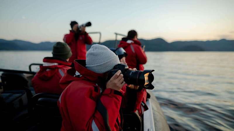 Port Hardy: Sea Otter and Whale Watching - Weather can shape the entire day