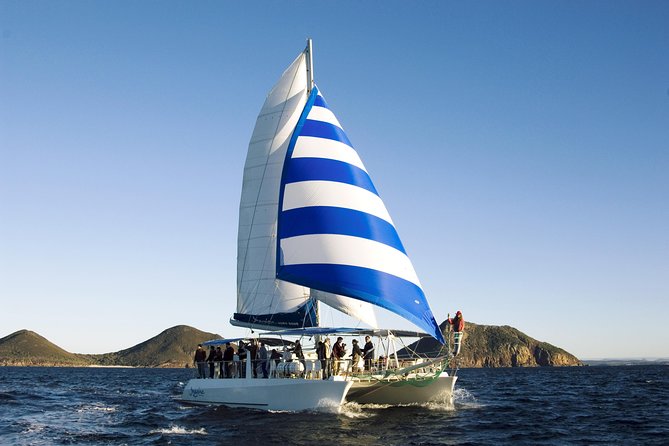 Port Stephens 3 Hour Whale and Dolphin Watch Cruise - Dolphins, seabirds, and Cabbage Tree Island