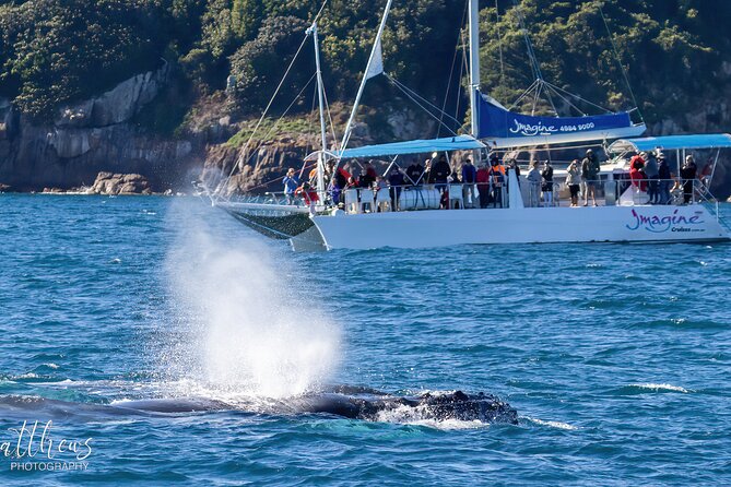 Port Stephens 3 Hour Whale and Dolphin Watch Cruise - Who will enjoy this Port Stephens cruise?