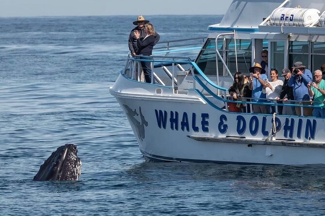 Port Stephens, departing Newcastle - Whales, hike & sand dunes! - What the $186.48 price includes