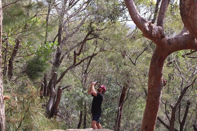 Port Stephens, departing Newcastle - Whales, hike & sand dunes! - The pace, pickup, and group size