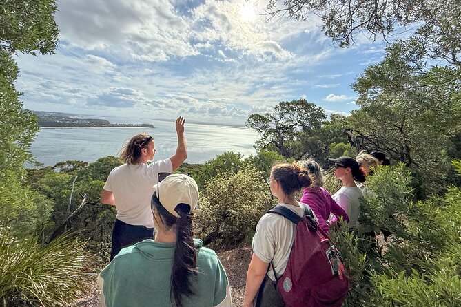 Port Stephens, departing Newcastle - Whales, hike & sand dunes! - Tomaree Mountain and its 161-metre summit