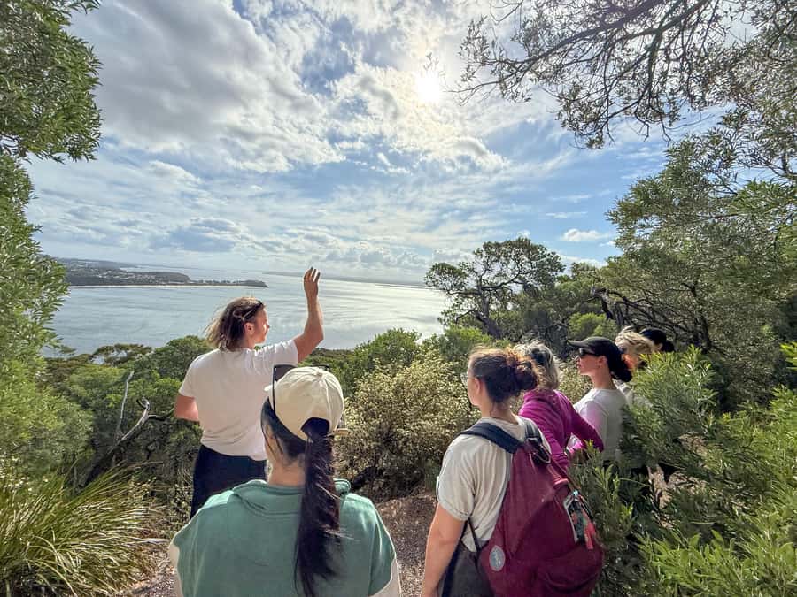 Port Stephens, from Newcastle: Whales, hike & sand dunes! - A full day from Newcastle to Port Stephens
