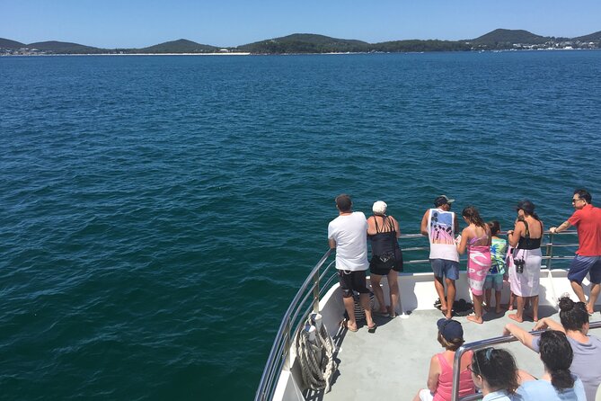 Port Stephens Private Tour From Sydney, with Dolphin/ Whale Cruise Options - Leaving Sydney in a private minivan