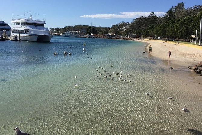 Port Stephens Private Tour From Sydney, with Dolphin/ Whale Cruise Options - Stockton Dunes and the optional sandboarding ride