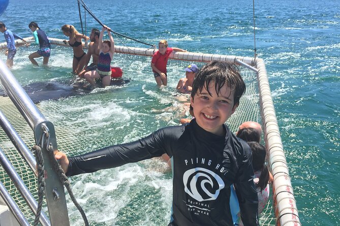 Port Stephens Private Tour From Sydney, with Dolphin/ Whale Cruise Options - What the $340.69 price really covers