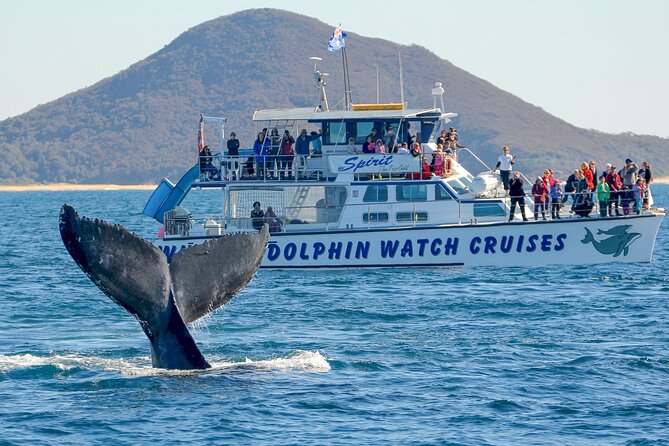 Port Stephens: Whale Watching Cruise - Picking Between the Three Departure Times