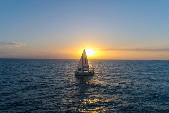 Premium All Inclusive Whale & Dolphin Watching Experience - Setting out from Puerto Colón in Playa de las Américas