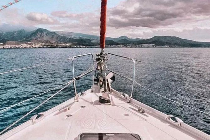 Premium All Inclusive Whale & Dolphin Watching Experience - The swim stop and snorkeling equipment