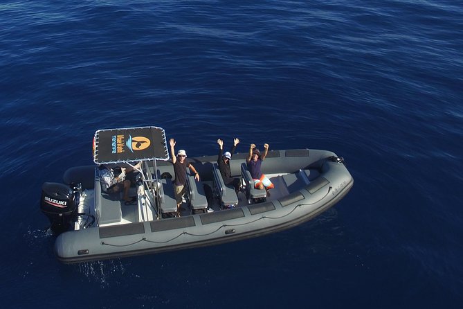 Private 2 hour Whale Watching Tour - Key points to know before you book