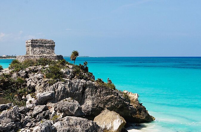 Private and Shared Whale Shark Tour from Tulum - Key points to know before you book