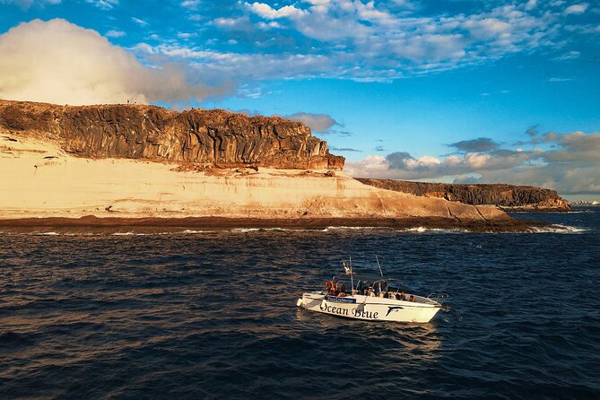 private charter 3 Hours Whale Encounter puerto colon adeje - The crew makes the difference
