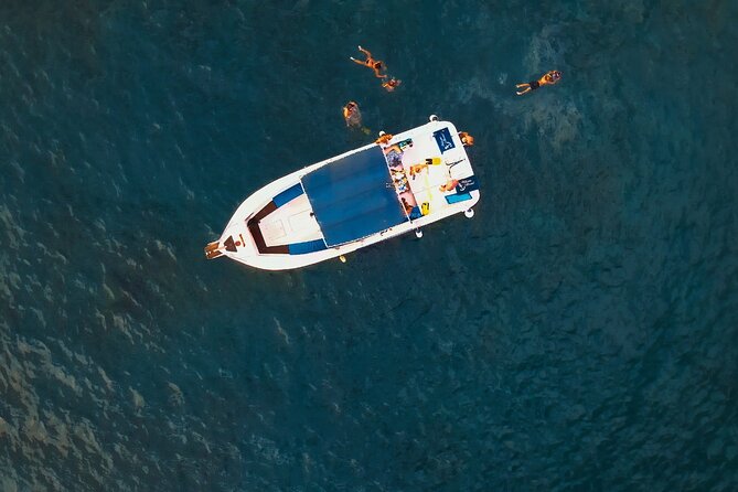 private charter 3 Hours Whale Encounter puerto colon adeje - Who will enjoy this most