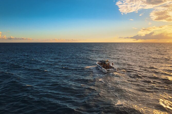 private charter 3 Hours Whale Encounter puerto colon adeje - Looking for pilot whales and dolphins
