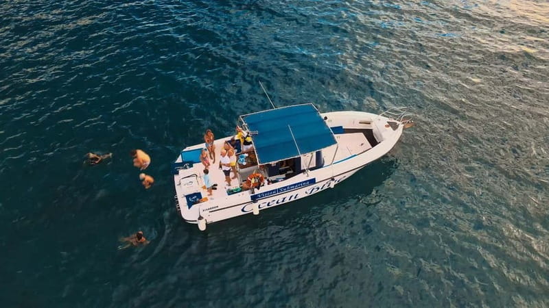 Private Charter Private Charter to see the whales - 3 Hours - A swim stop at El Puertito or Playa de las Vistas