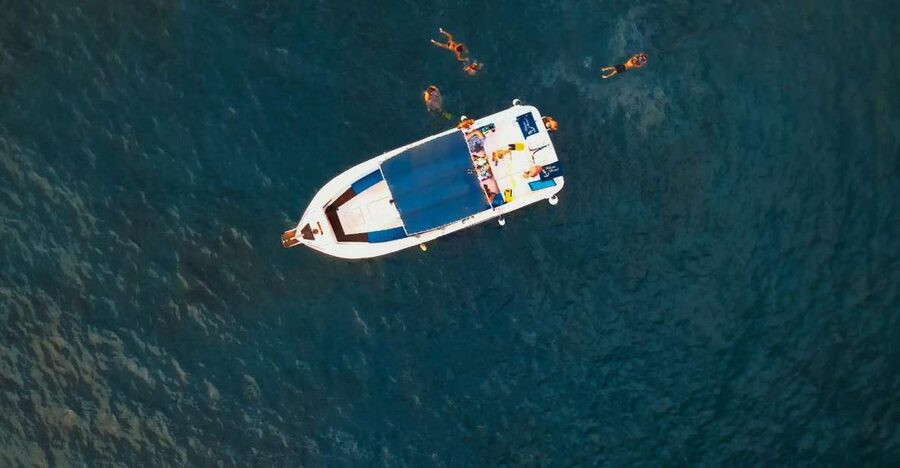 Private Charter Private Charter to see the whales - 3 Hours - Guides, languages, and access
