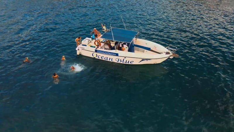 Private Charter Private Charter to see the whales - 3 Hours - Glass-bottom viewing below the surface
