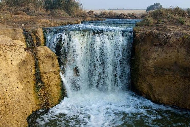 Private day tour El Fayoum ,and Valley of Whales with safari - Key points to know before booking