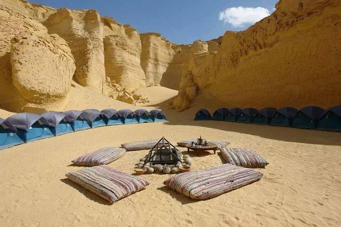 Private day tour El Fayoum ,and Valley of Whales with safari - Lake Qarun before the return drive