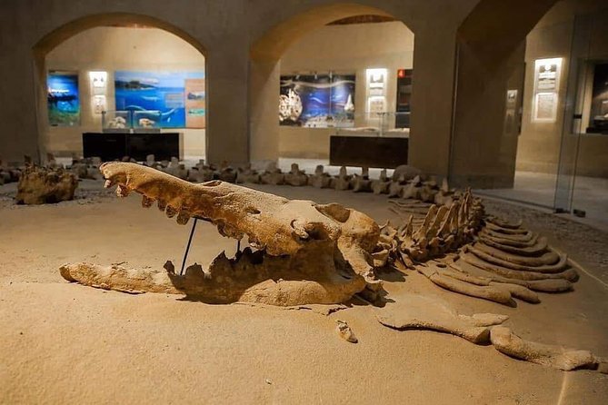 Private day tour El Fayoum ,and Valley of Whales with safari - Who will enjoy this day most?