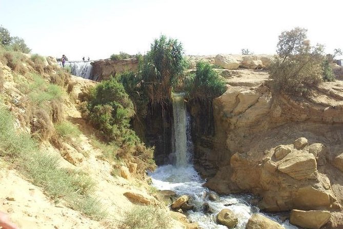 Private day tour El Fayoum ,and Valley of Whales with safari - Reading the ancient story at Wadi El-Hitan