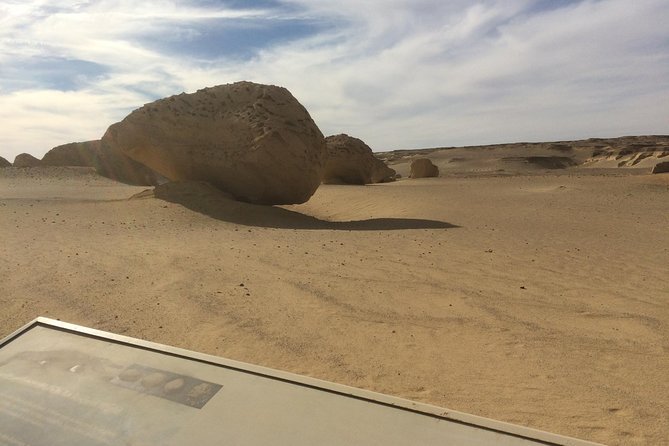 Private Day Tour to El Fayoum & Valley of the Whales from Cairo - Key points to know before booking