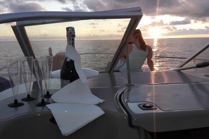 Private Dolphin and Whale Watching Tour in Madeira - Starting at Calheta Marina with a proper briefing