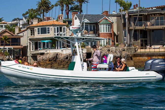 Private Dolphin and Whale Watching Tour in Newport Beach - Dolphins are the main attraction
