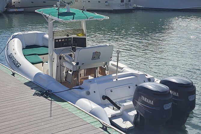 Private Dolphin and Whale Watching Tour in Newport Beach - Captain Dustin and the tone onboard