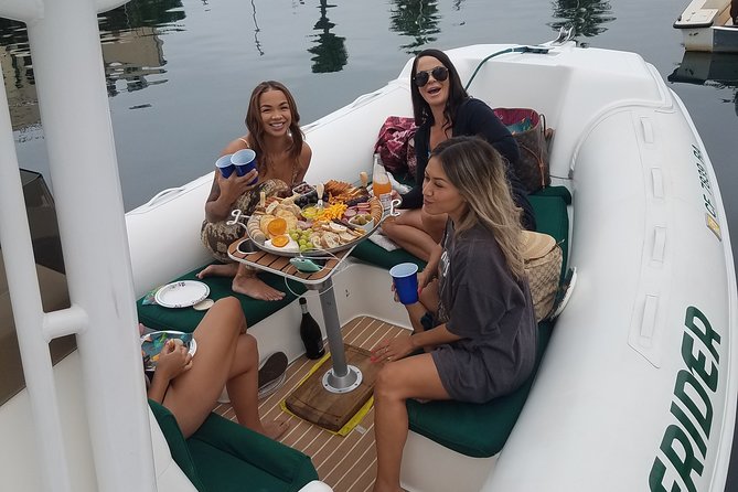 Private Dolphin and Whale Watching Tour in Newport Beach - From Newport Harbor to the open Pacific