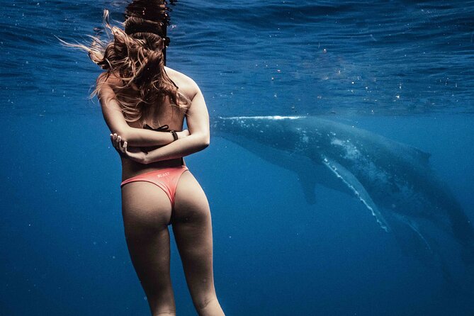 Private Half Day Whale Watching Tour - Starting at Coco Beach Restaurant Parking