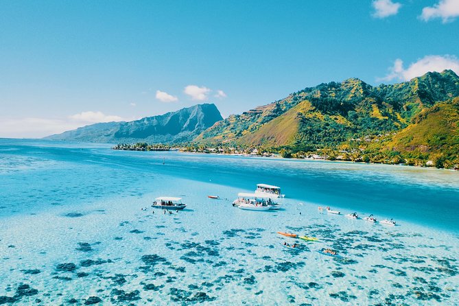 Private Half Day Whale Watching Tour - Fruit, drinks, and the small comforts