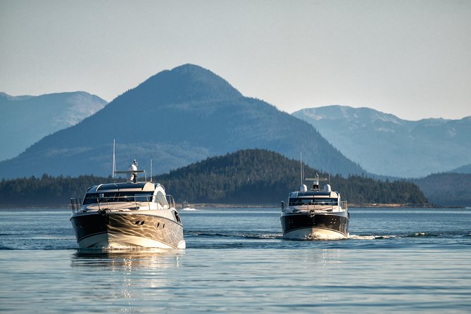 Private Luxury Whale Watch - More than whales: eagles, seals, sea lions, and bears